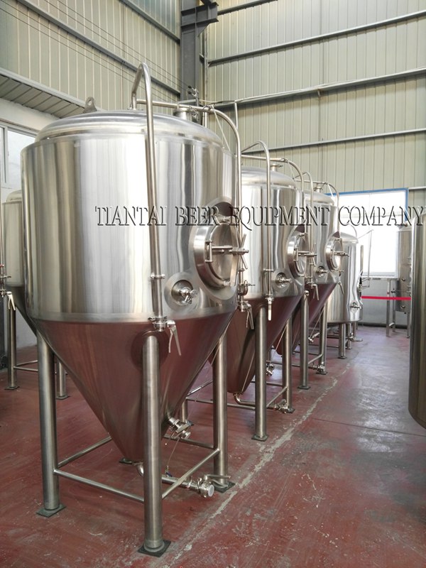 1000L Micro Fermentation Vessels for Sale